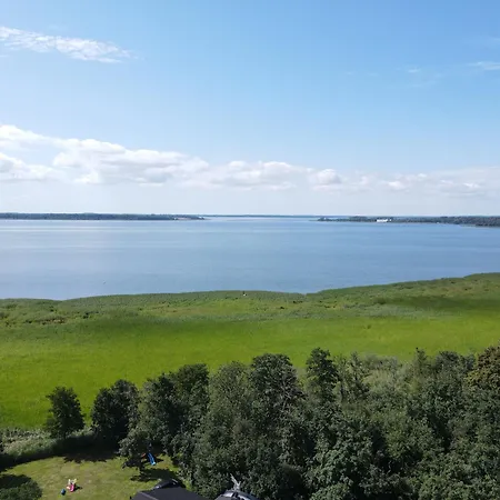 Sis דז'יבנובק